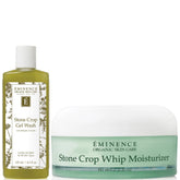 Eminence Organic Skin Care Teen Skincare Routine